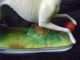 19th Century White Paste Porcelin Whippit Dog Figurine On Base Figurines photo 4