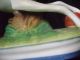 19th Century White Paste Porcelin Whippit Dog Figurine On Base Figurines photo 5