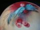 Limoges Jean Pouyat,  Cherries Fruit Hand Painted Plate,  Signed,  7 1/2 