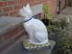 Antique Victorian Staffordshire Cat Egyptian Art Deco Statue Majolica Old Early Figurines photo 1