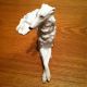 Large Austrian Wien Porcelain Borzoi Russian Wolfhound Dog Figurine Statue Figurines photo 4