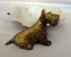 Unusual Fabulous Scottish Metal Terrier Scottie Dog With Dogwood Blossom Dish Metalware photo 1