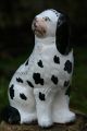 Stunning Pair: Mid 19th C.  Staffordshire Disraeli Open Legged Black & White Dogs Figurines photo 10