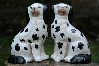 Stunning Pair: Mid 19th C.  Staffordshire Disraeli Open Legged Black & White Dogs photo