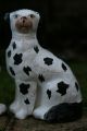 Stunning Pair: Mid 19th C.  Staffordshire Disraeli Open Legged Black & White Dogs Figurines photo 2