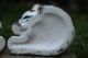Stunning Pair: Mid 19th C.  Staffordshire Disraeli Open Legged Black & White Dogs Figurines photo 8