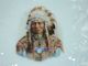 Antique Porcelain Tea Pot Cozy American Plains Indian Chief Sitting Bull Rare Teapots & Tea Sets photo 2