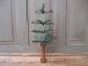 Antique Wood Spice Box W Feathery Christmas Tree Primitives photo 7