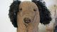 19th C Folky Early Old Antique Brown Cloth Stuffed Dog Animal Toy Primitives photo 9