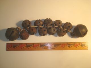Antique 12 Brass Sleigh Bells W/original Patina.  10 Small,  2 Large.  N/r photo