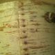 Early Antique Pantry Box W Bail Handle With Old Gray / Putty Paint Primitives photo 2