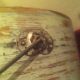 Early Antique Pantry Box W Bail Handle With Old Gray / Putty Paint Primitives photo 6
