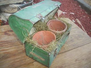 Vintage Antique Child ' S Metal Lunch Box Upcycled Garden Country Herb Planter photo