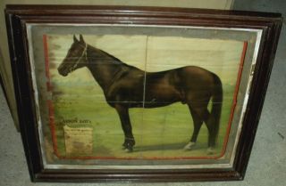 Antique 1800s Lithograph Advertisement Horse Arion International Stock Food Vafo photo