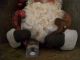 Primitive Santa With Holding Arms == Doll And Candy Cane == 14 X 13 In.  == Primitives photo 2