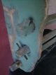 Awesome Primitive Wooden Wall Shelf Constructed With Old Pegs Primitives photo 3