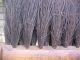 Antique 100% Hair Bristles Wood Handled Brush Mechanic Work Bench Primitives photo 4