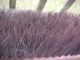 Antique 100% Hair Bristles Wood Handled Brush Mechanic Work Bench Primitives photo 7
