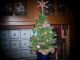 Country Primitive Christmas Tree In Navy/white Speckled Coffeepot - Gumdrop Tree Primitives photo 8