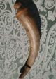 Antique Primitive American Black Powder Horn Ca 1830 Kentucky? Rifle Musket Gun Primitives photo 2