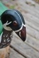 Early Folk Art,  Wooden Duck Decoy,  Hand Carved,  Glass Eyes, Primitives photo 2