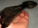 Antique 1700s Primitive Folk Art Burl Wood Tool Fid Knife Masher Pestel Vafo Primitives photo 10