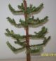 Primitive Christmas/winter Faux German Feather Twigtree With 12mm Branches Primitives photo 1