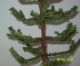 Primitive Christmas/winter Faux German Feather Twigtree With 12mm Branches Primitives photo 3