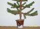 Primitive Christmas/winter Faux German Triple Feathertwigtree Insnowmanbucket Primitives photo 3