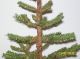 Primitive Christmas/winter Faux German Triple Feather Twig Tree In Santa Bucket Primitives photo 1