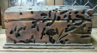 Rare Vintage Big Shipworm (teredo) Wooden Box photo