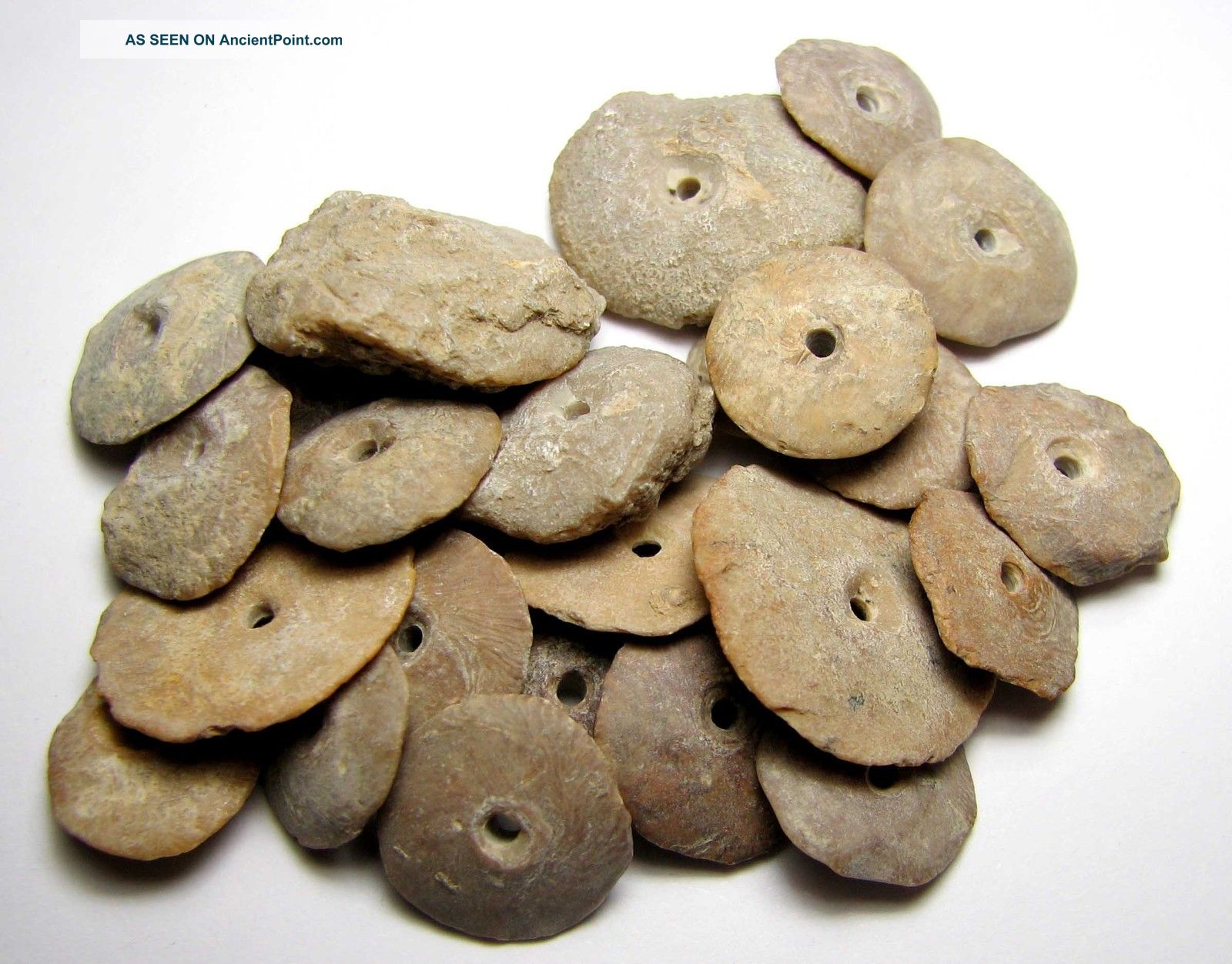Matncat84 A 30.  00grm Neolithic / Bronze Age Stone Disc Beads 1500bc F149 Neolithic & Paleolithic photo