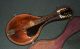Vintage 1920 Gibson A Style Mandolin W/ohsc - Refinished - Vgc - Nr String photo 9