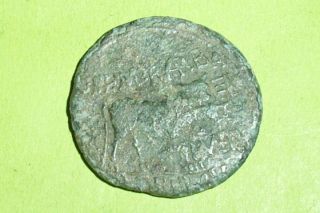 Scarce Ancient Roman Coin Eagle Head Countermark Augustus Bull Spain Old Large photo