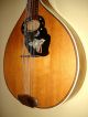 German 12 String Mandriola Ca.  1950 String photo 3