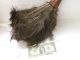 Vintage Antique Ostrich Feather De Luxe Duster American Brush Co Roxbury Mass Other photo 2