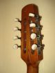 German Mandolin From C.  A.  Wunderlich Ca.  1950 String photo 10