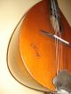 German Mandolin From C.  A.  Wunderlich Ca.  1950 String photo 3