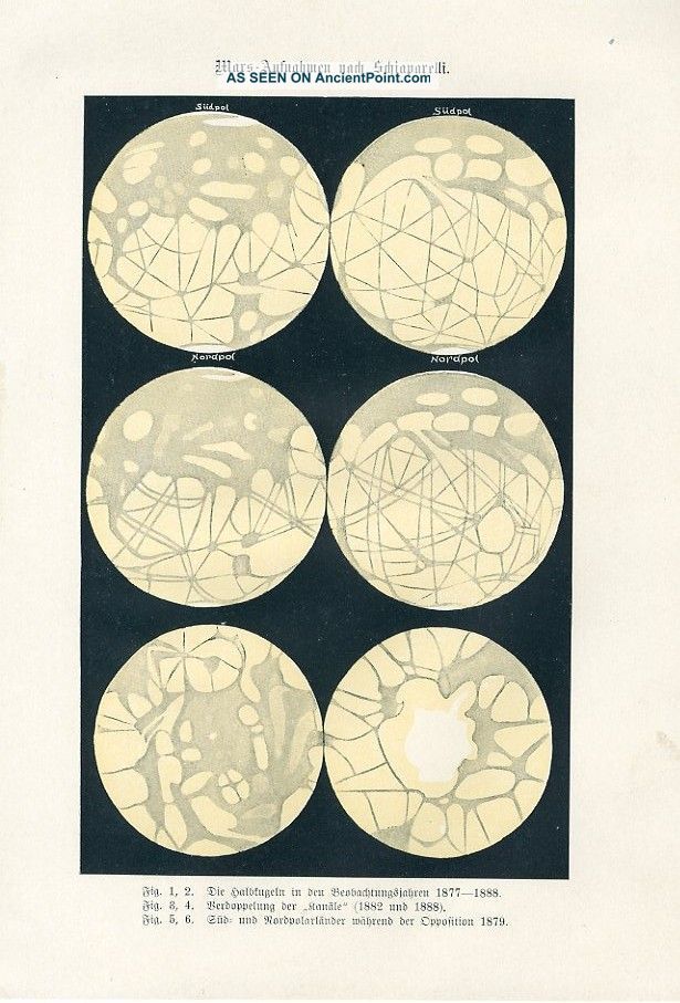 1890 Mars Planet Astronomy Antique Lithograph Print C.  Sterne Other photo
