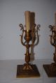 Gorgeous Pair Bronze 1 - Light Wall Sconces Or Table Lamp With Swan Detail Chandeliers, Fixtures, Sconces photo 6