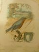 Rare Vintage Singer Sewing 1899 Litho Calender With Birds And Poems Signed Other photo 3