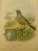 Rare Vintage Singer Sewing 1899 Litho Calender With Birds And Poems Signed Other photo 4