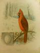 Rare Vintage Singer Sewing 1899 Litho Calender With Birds And Poems Signed Other photo 5