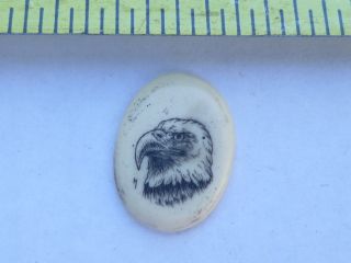 Scrimshaw Collection Resin Tiles Bald Eagle photo