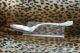 Tablespoon Dessert Soup Spoon Antique Reed Barton Francis I Sterling Silver Reed & Barton photo 7