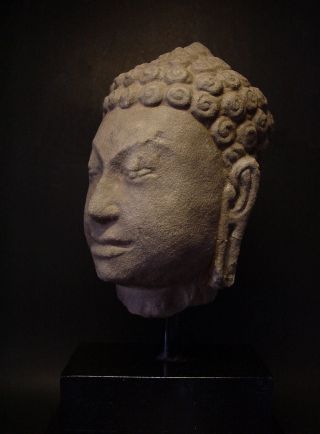 Rare Sandstone Fragmented Head Of Buddha,  Mon Dvaravati Period,  10 - 11th C.  Thai. photo