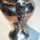Vintage Silver Plated Claret Jug From Early 1900 ' S Pitchers & Jugs photo 4