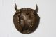 Antique Bronze Figural Dish - Steer Head With Horns Metalware photo 1