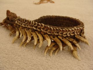 Papua New Guinea (png) - Dogs ' Tooth Headdress photo