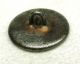 Antique Steel Cup Button Baby Moses In The Bulrushes Pictorial Buttons photo 1